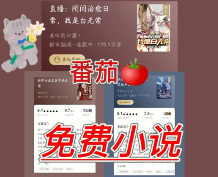 海外看番茄小说回国VPN