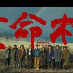 2026年必追神剧！杨紫胡歌《生命树》预告引爆全网，海外剧迷如何抢先观看？