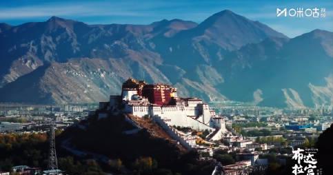 布达拉宫绝美光影刷屏!每一帧都是壁纸,歌词里藏着千年文化密码