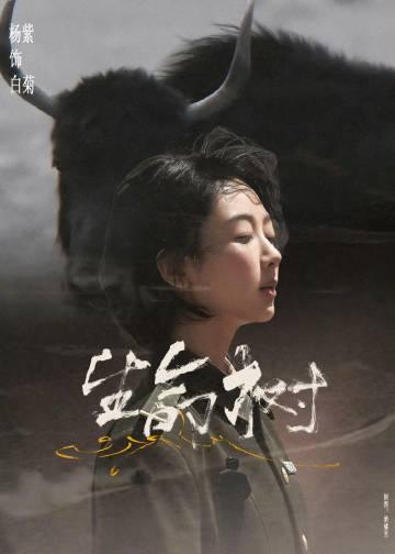 海外华人追剧困扰多?杨紫新剧《我终于下山了》引发地区限制热议