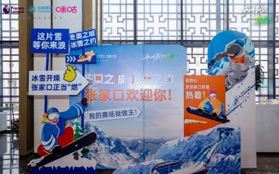 海外华人追剧听歌遇阻?这些方法帮你轻松突破地区限制看英超